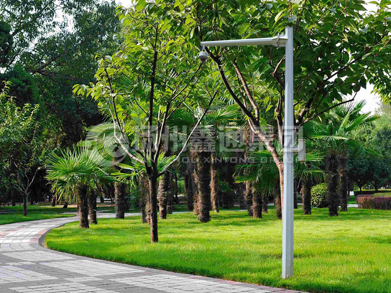 DJG-022，電子警察桿，八棱懸臂球機桿